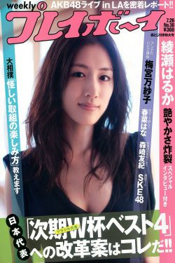 2025全年免费资料大全全面释义与权免费版官方版细节展示