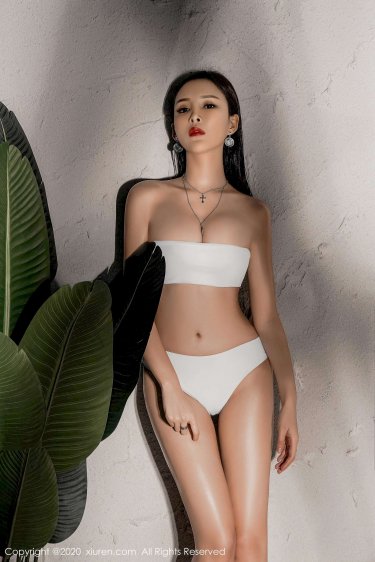 2025公开免费资料免费版