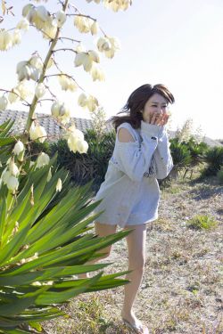 2026正版资料大全百度免费官网官方版下载细节展示